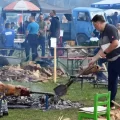 Ništa od ovogodišnje Pečenkijade u Slavonskom Brodu na Poloju