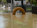 DSC_0373 (Small)