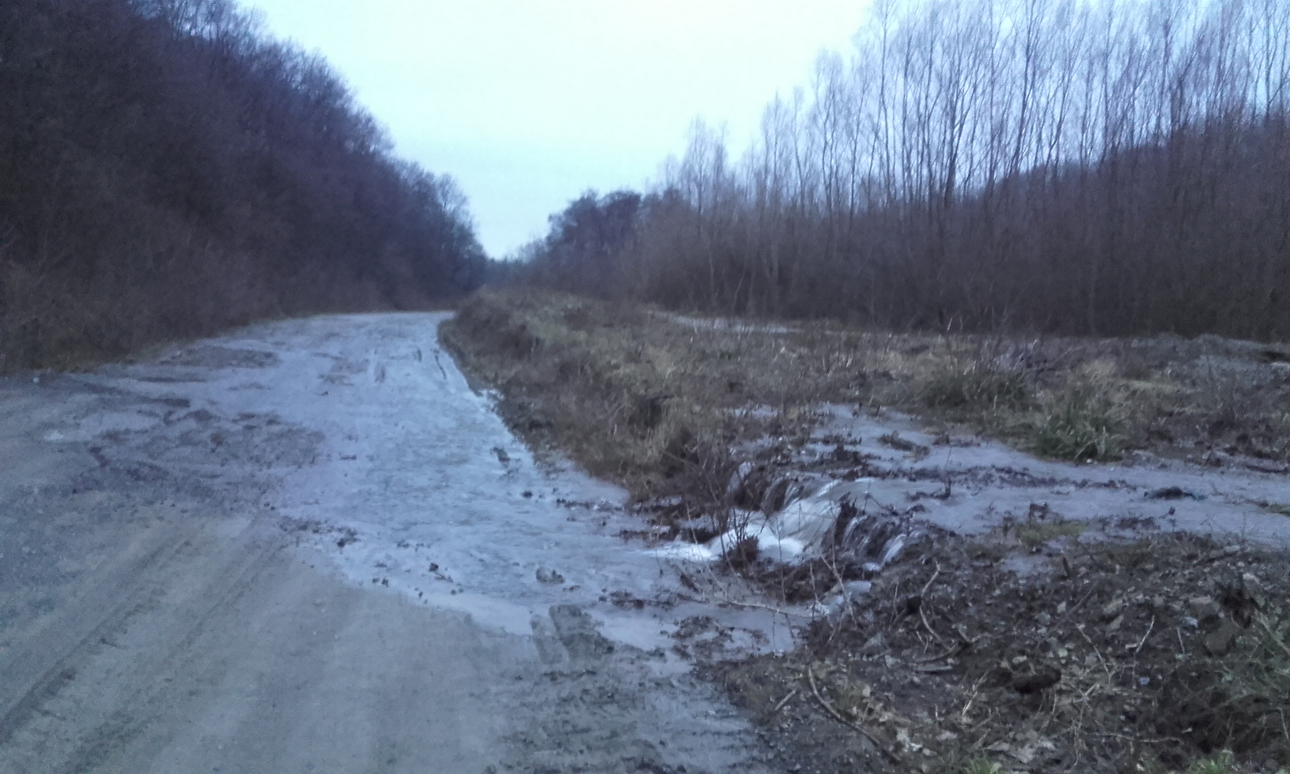 Požega.eu | Vetovčani ogorčeni: Vodoprivreda ne održava branu, iz nje raste drveće, a voda uništava cestu!