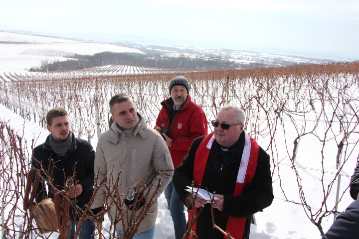 Požega.eu | NIŠTA OD PRAVOG VESELJA: Vincelovo na minimumu – korona virus smanjio okupljanja u vinogradima
