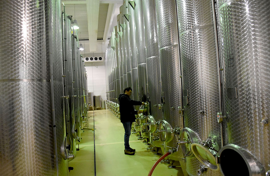 Požega.eu | Eminentni vinski stručnjaci - somelijeri kročili na staze buduće vinske rute u Kutjevu