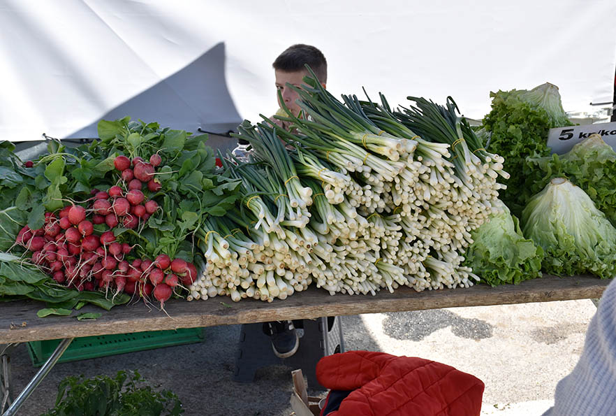 Požega.eu | Požeška zelena tržnica u znaku presadnica, povrća i cvijeća /FOTO/