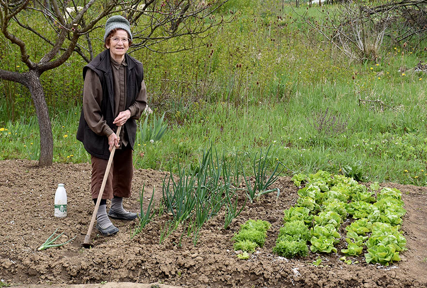 Požega.eu | Vrtlarenjem dodatno štede a znaju što jedu /FOTO/