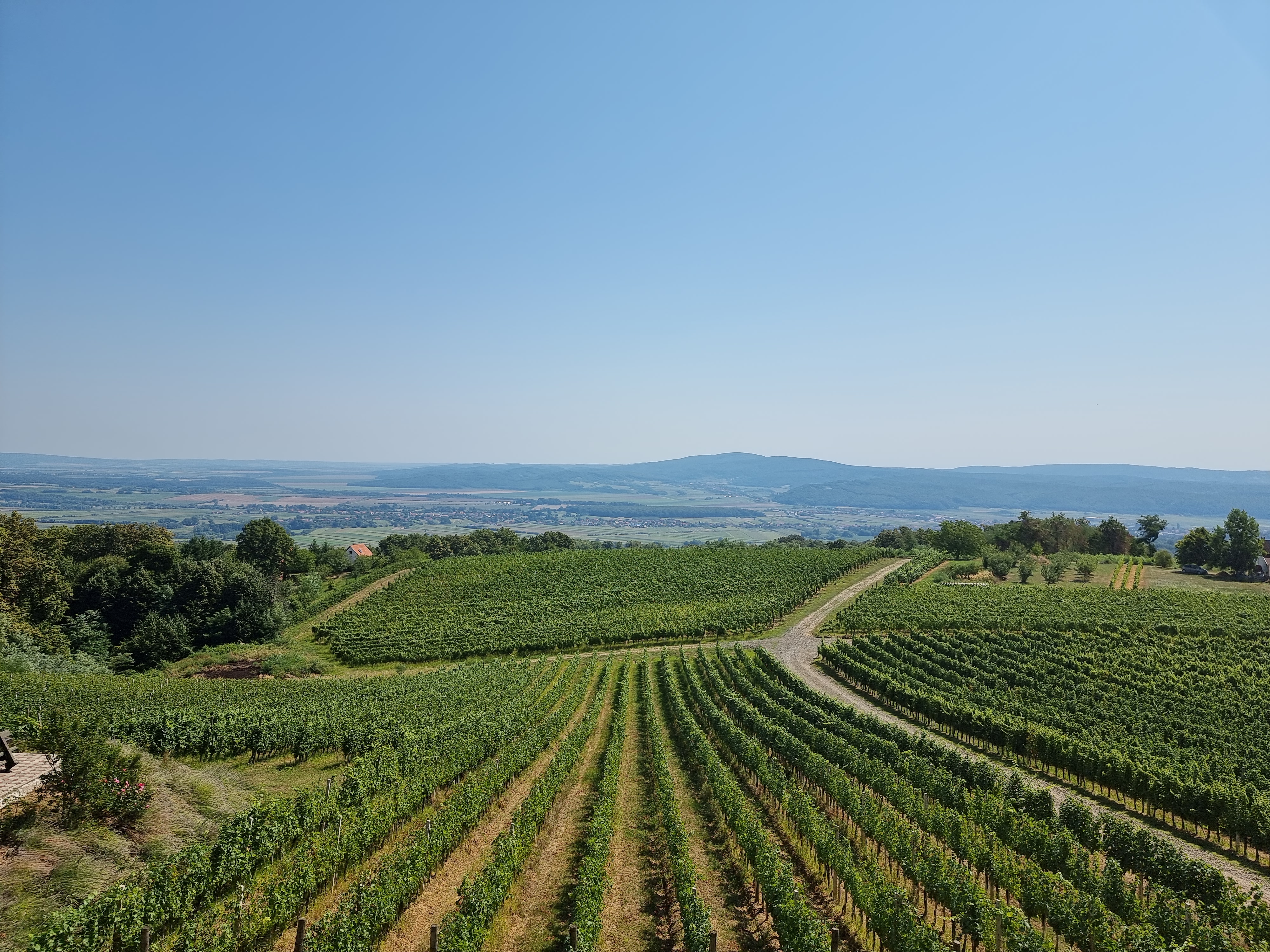 Požega.eu | Nastavlja se stabilno i sunčano vrijeme, temperature idu i do 30°C