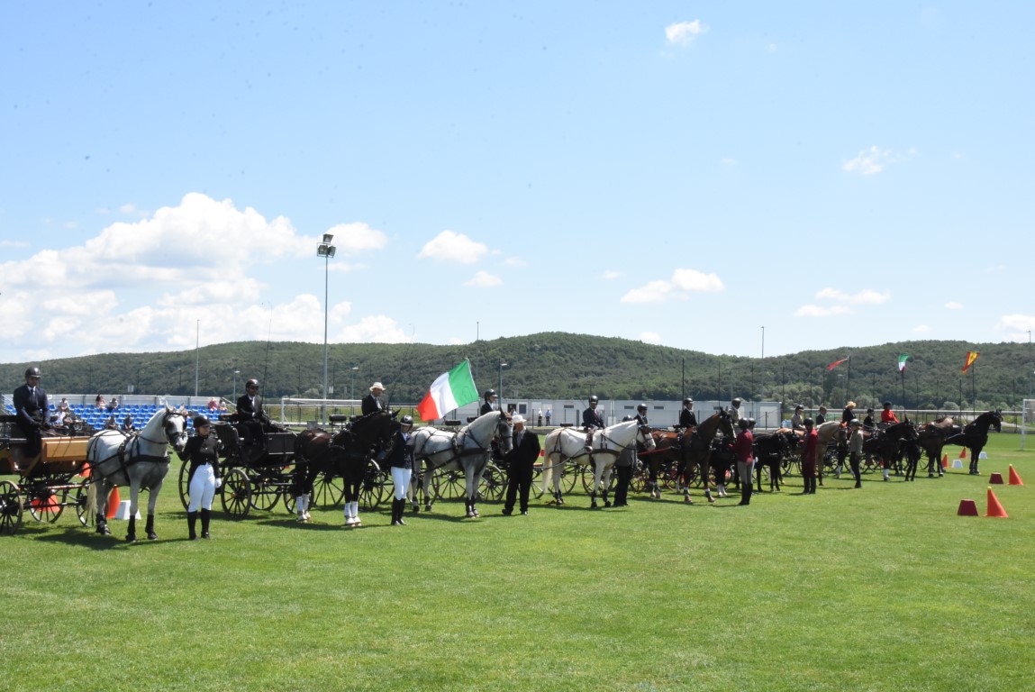 Požega.eu | Vožnjom preciznosti završen jedinstveni Međunarodni konjički turnir u Pleternici /FOTO/