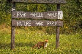 Požega.eu | Promjena naziva Parka prirode Papuk moguća je nakon izmjene Zakona o proglašenju