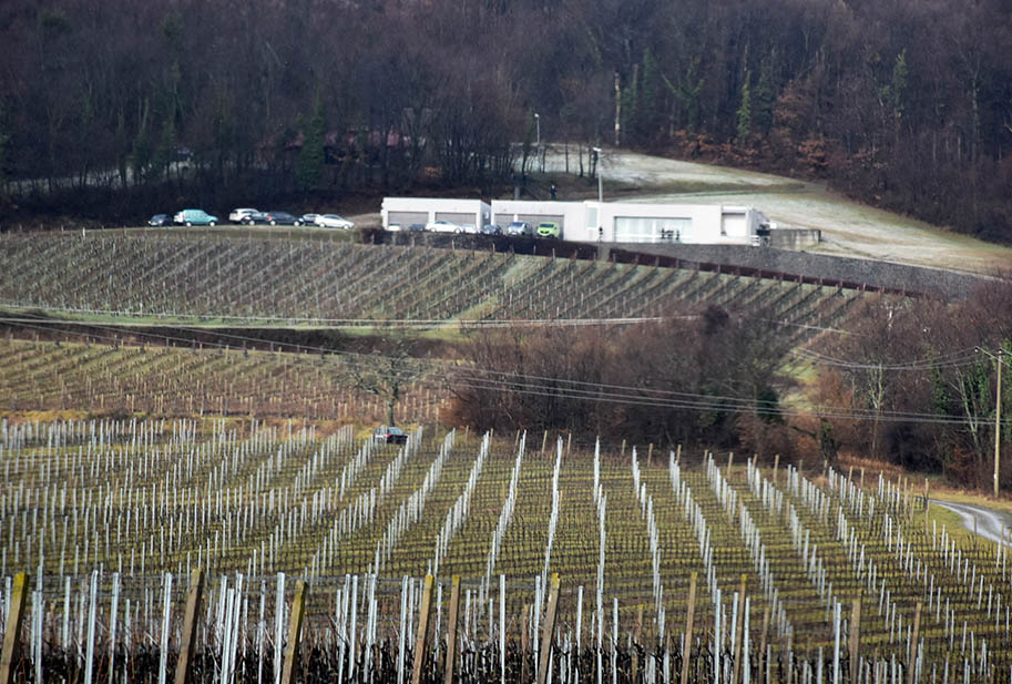 Požega.eu | [FOTOGALERIJA] Vinogradarska godina dala manji urod, a bolji kvalitet vina- 2023. se očekuje uz produženu vegetaciju