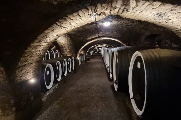 Kutjevo će dobiti vinskog nadzornika radi utvrđivanja količina proizvedenih vina i boljeg plasmana
