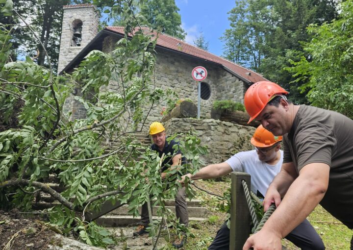 Požega.eu | Požeški šumari aktivno saniraju štete na području Požege, Pleternice i Brestovca